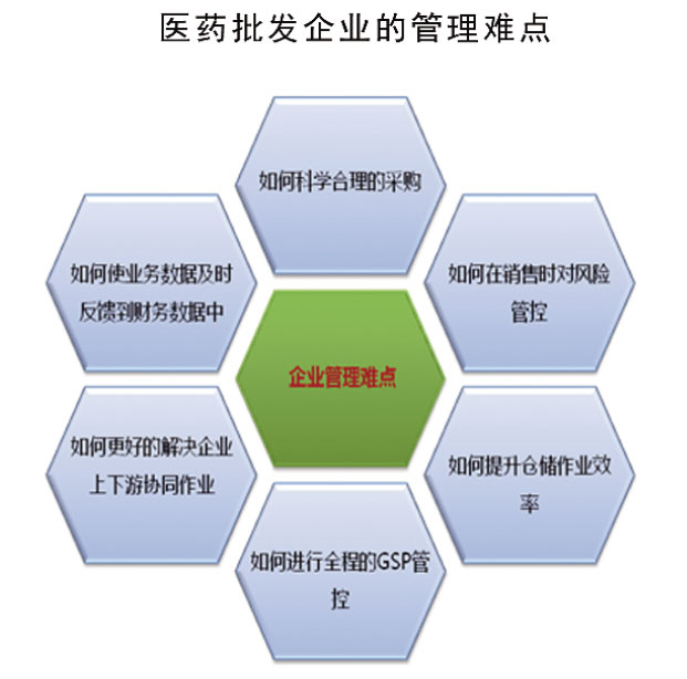 医药流通批发行业解决方案